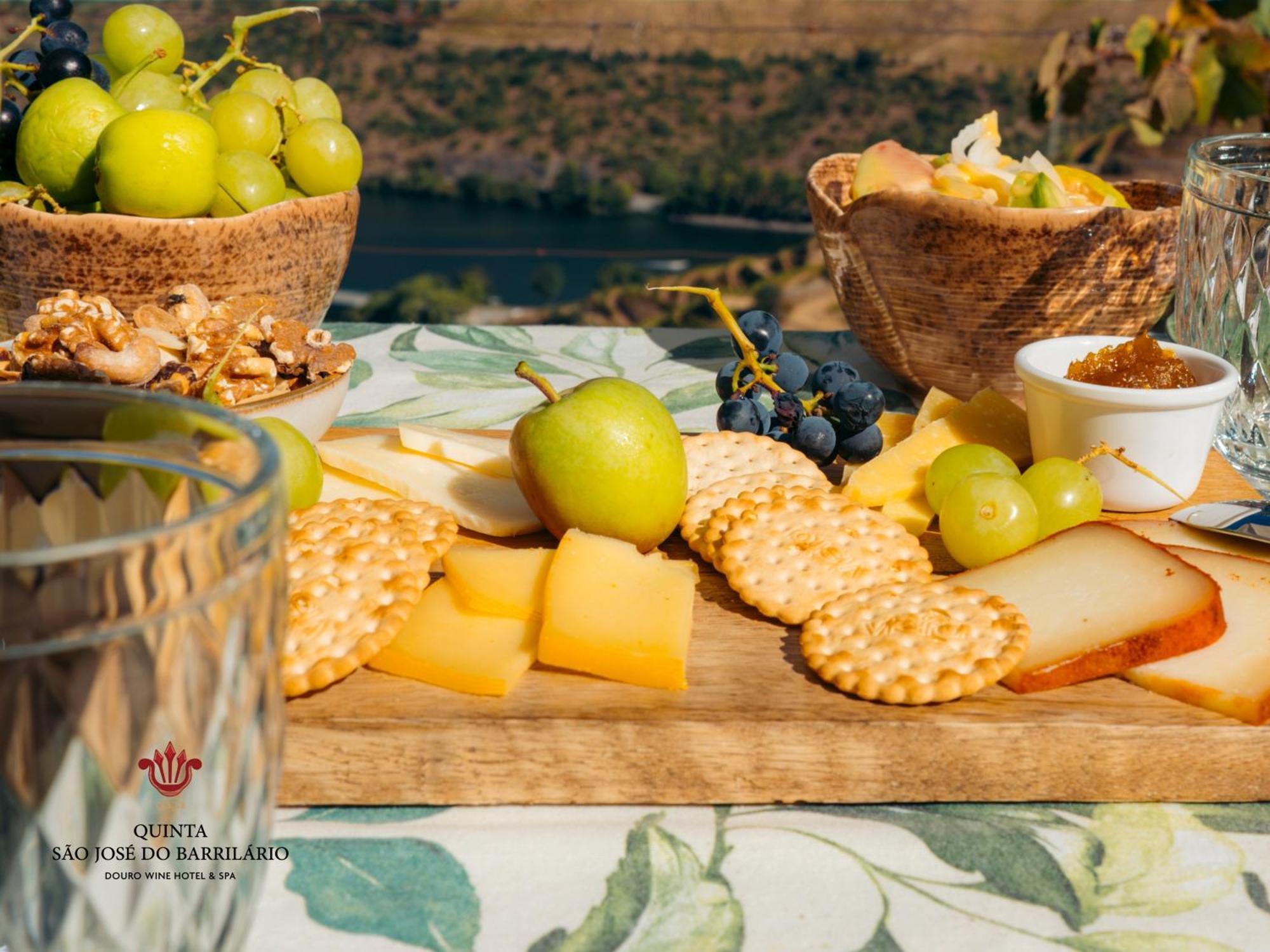 Barrilario Douro Wine Hotel E Spa - Quinta Sao Jose Do Barrilario アルママール エクステリア 写真