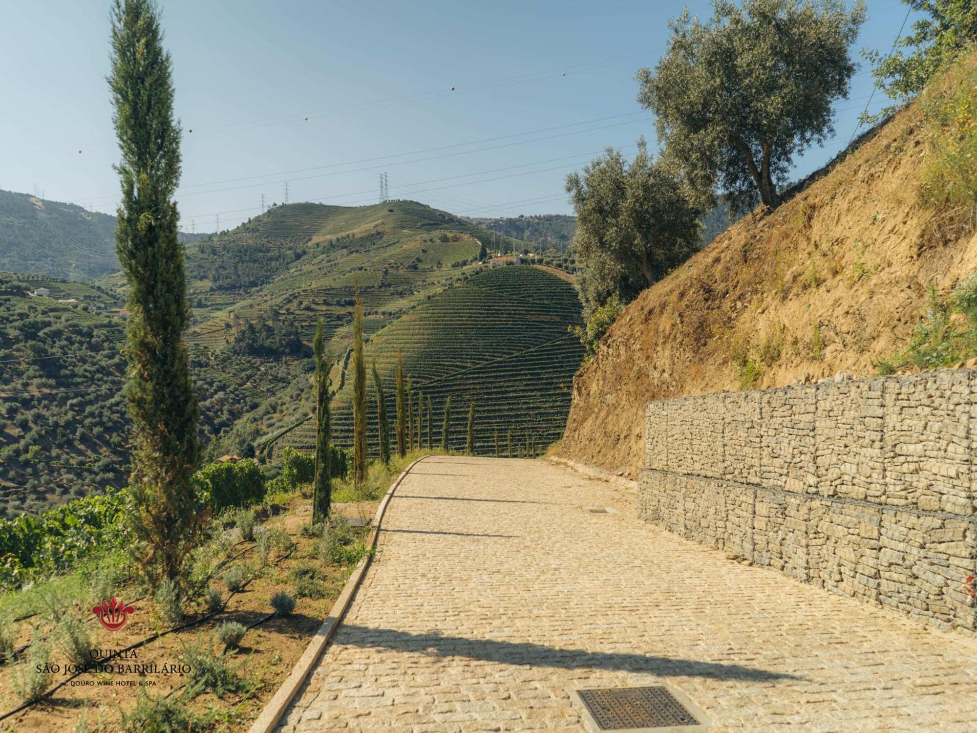 Barrilario Douro Wine Hotel E Spa - Quinta Sao Jose Do Barrilario アルママール エクステリア 写真